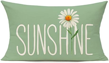 All Smiles Outdoor Decorative Pillow Covers - 12x20 inches