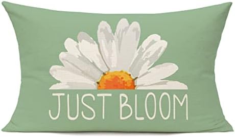 All Smiles Outdoor Decorative Pillow Covers - 12x20 inches