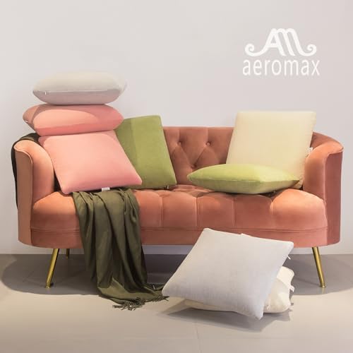 AM AEROMAX 12 x 32 Memory Foam Pillow Insert