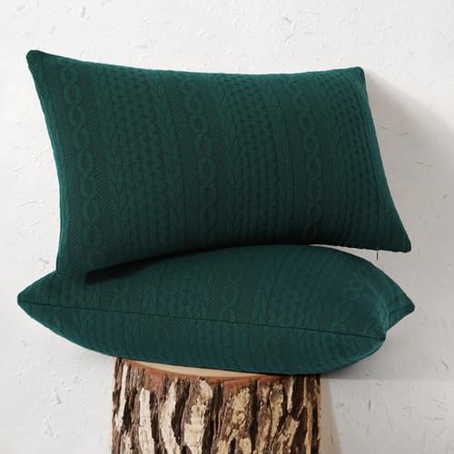 Cikary Dark Green Throw Pillow Covers Set of 2 12x20