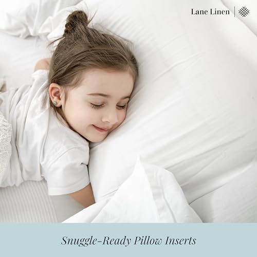 12x20 Fluffy Insert for Sofa Bed and More