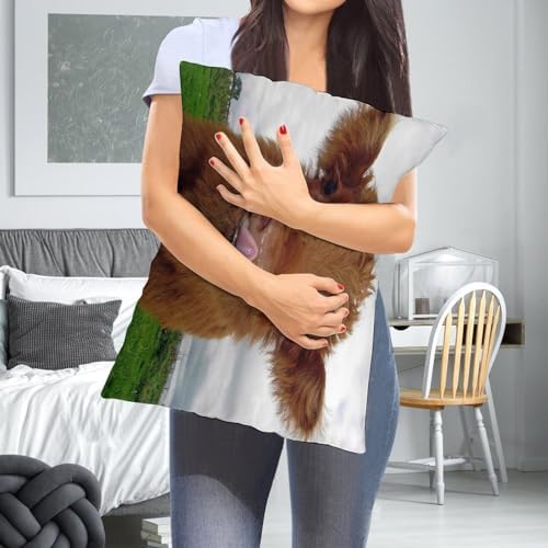 Cute Eco-Friendly Cow Farm Pillow Case