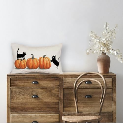 AOFANGGO Halloween Pillow Cover 12x20