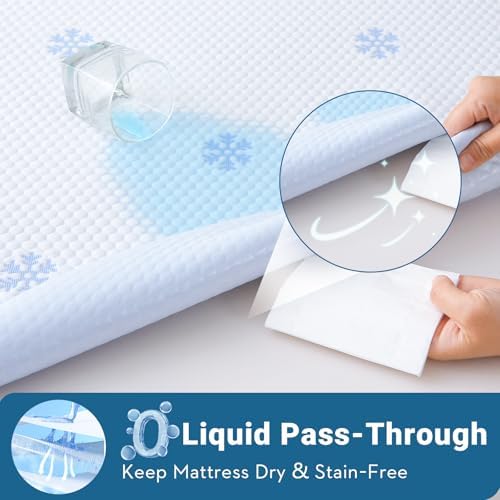 Luxury Queen Mattress Protector with 8-21 Deep Pockets