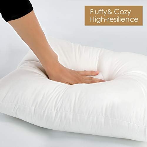 Luxury Lumbar Pillow Insert by Artscope