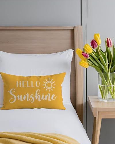 PANDICORN Hello Sunshine Throw Pillow Cover 12x20