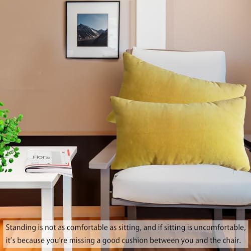 Classic Cotton Velvet Decorative Lumbar Pillow Covers