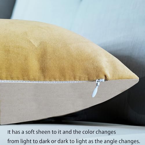 Classic Cotton Velvet Decorative Lumbar Pillow Covers