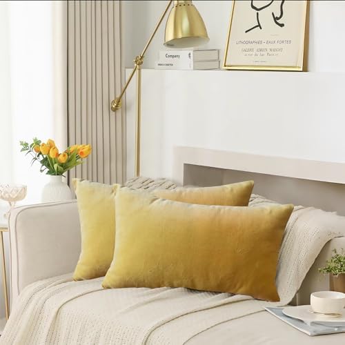 Classic Cotton Velvet Decorative Lumbar Pillow Covers