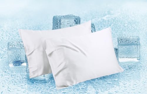 Zaizaihome California King Pillowcase Set of 2 Bamboo Viscose