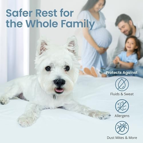 SafeRest Waterproof Queen Mattress Protector with Stretchable Pockets