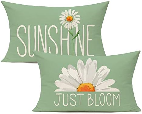 All Smiles Outdoor Decorative Pillow Covers - 12x20 inches