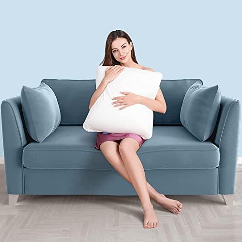 AM AEROMAX 12 x 32 Memory Foam Pillow Insert
