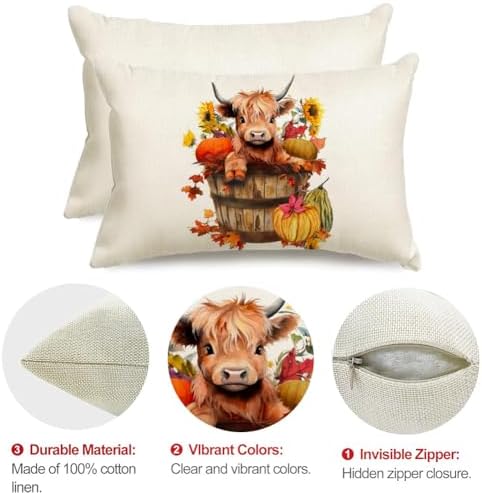 RABUSOFA Fall Decor Pillow Covers 12x20 Inch