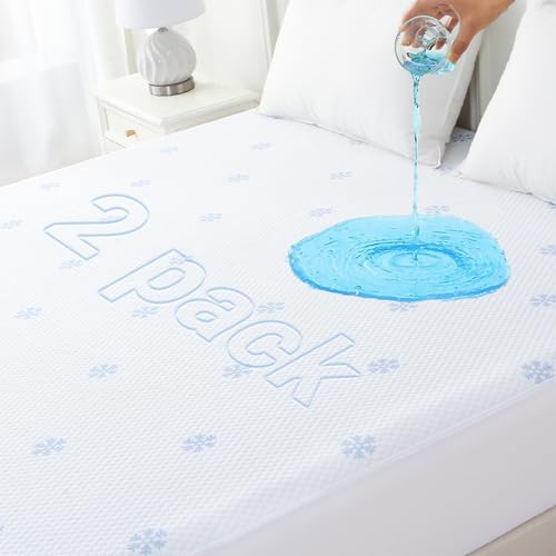 Luxury Queen Mattress Protector with 8-21 Deep Pockets
