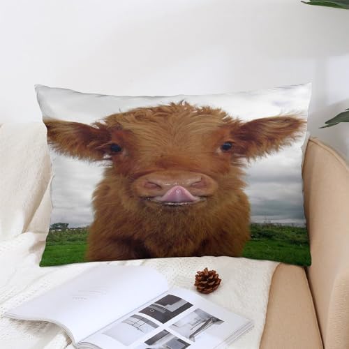 Cute Eco-Friendly Cow Farm Pillow Case