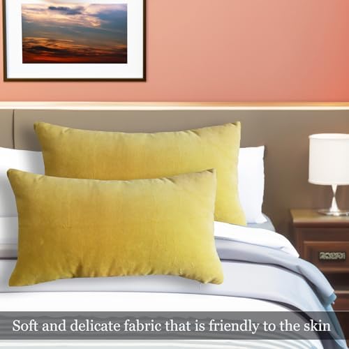 Classic Cotton Velvet Decorative Lumbar Pillow Covers