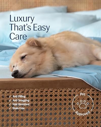 STREQ Cooling Comforter for Hot Sleepers