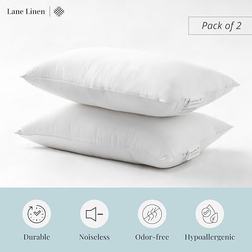 12x20 Fluffy Insert for Sofa Bed and More