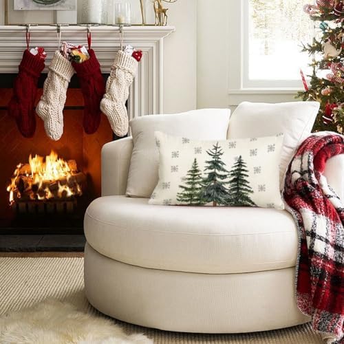 Winter Snowflake Throw Pillow Cover Perfect for Sofa Living Room