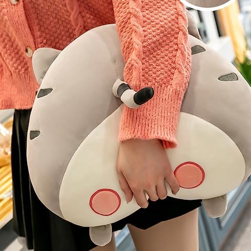 Cute Soft Plush Pillow Gifting for Home Office