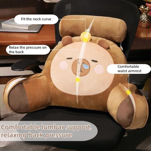 Cuty Reads Pillow for Bed or Sofa