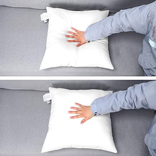 Luxury Lumbar Pillow Insert by Artscope
