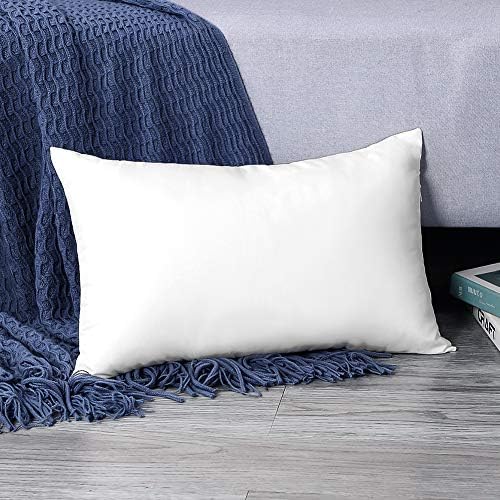 Luxury Lumbar Pillow Insert by Artscope