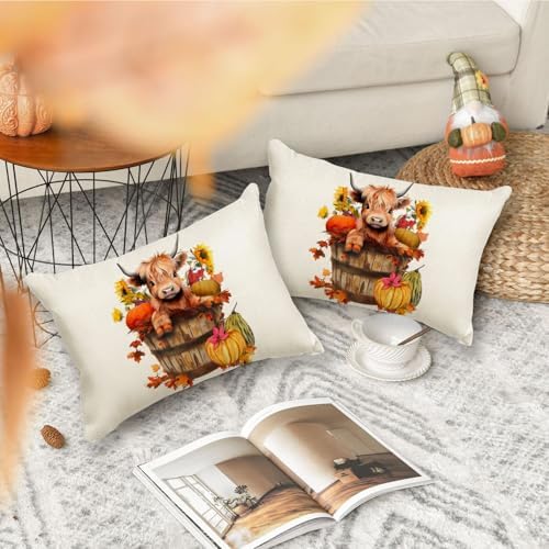 RABUSOFA Fall Decor Pillow Covers 12x20 Inch