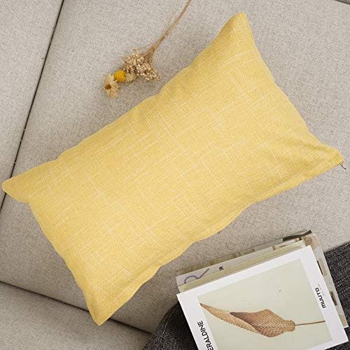 Your Smiley 12x20 Deployable Linen Cushion Cover