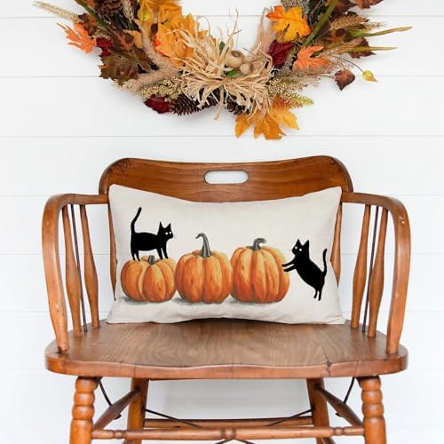 AOFANGGO Halloween Pillow Cover 12x20