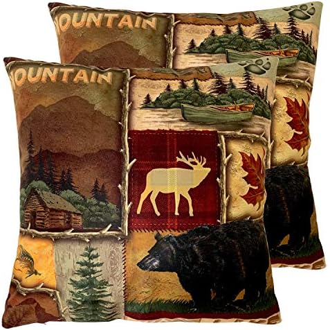 Set of 2 Square 18x18 Inch Throw Pillow Covers