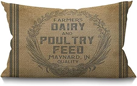 Vintage Farmhouse Throw Pillow Case
