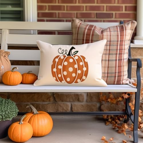 RABUSOFA Fall Pillow Covers