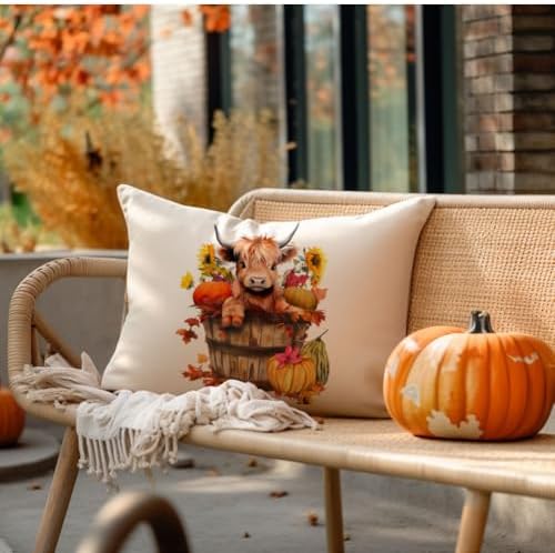 RABUSOFA Fall Decor Pillow Covers 12x20 Inch