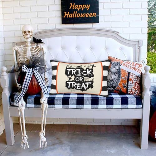 FJTP Halloween 12x20 Lumbar Pillow Cover