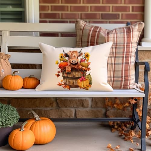 RABUSOFA Fall Decor Pillow Covers 12x20 Inch