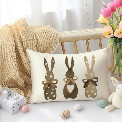 RABUSOFA Easter Bunny Throw Pillow Covers 12x20 Inch