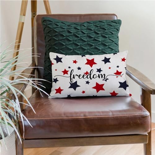 07 Patriotic Throw Pillow Cover - 12x20 Inch Star Design Treasure