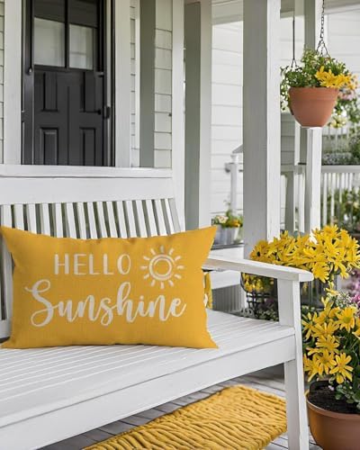 PANDICORN Hello Sunshine Throw Pillow Cover 12x20