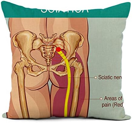 Relieve Posture with Lumbar Pillow Cover for Sofa Bed Car