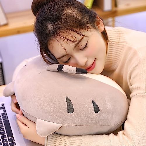 Cute Soft Plush Pillow Gifting for Home Office