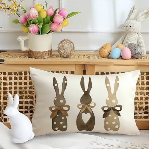 RABUSOFA Easter Bunny Throw Pillow Covers 12x20 Inch