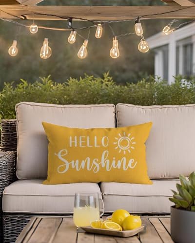 PANDICORN Hello Sunshine Throw Pillow Cover 12x20
