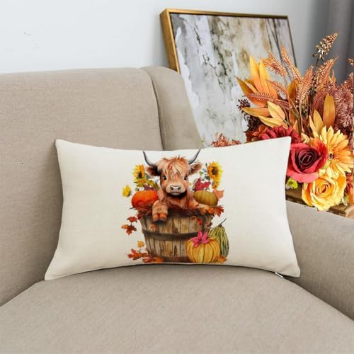 RABUSOFA Fall Decor Pillow Covers 12x20 Inch