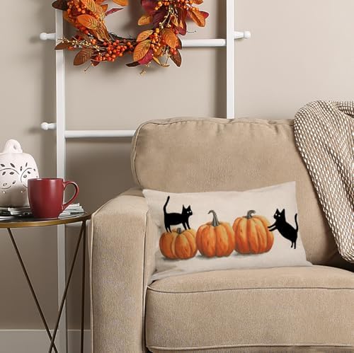 AOFANGGO Halloween Pillow Cover 12x20