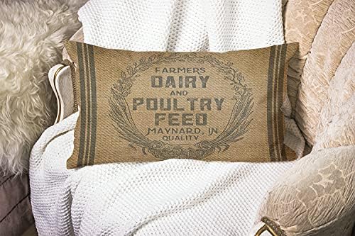 Vintage Farmhouse Throw Pillow Case