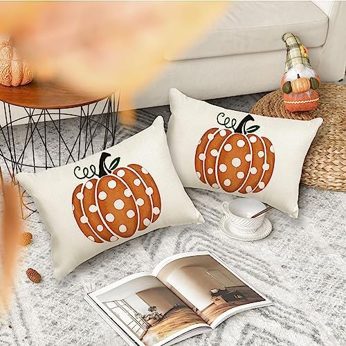 RABUSOFA Fall Pillow Covers